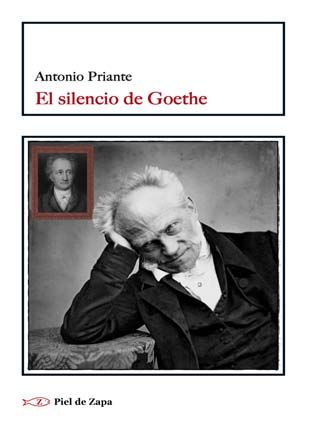 EL SILENCIO DE GOETHE