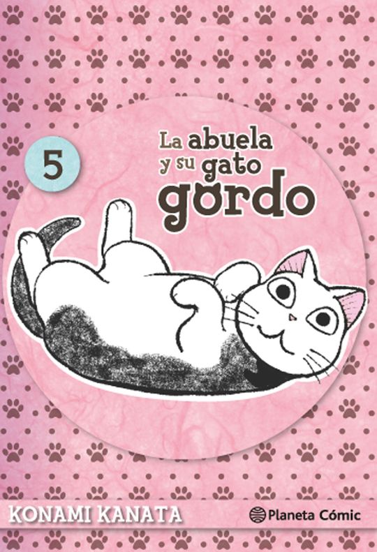 LA ABUELA Y SU GATO GORDO N 05/08