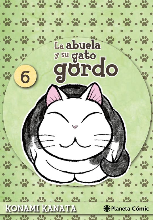 LA ABUELA Y SU GATO GORDO N 06/08