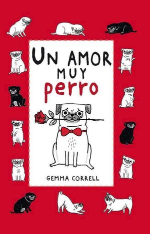 UN AMOR MUY PERRO