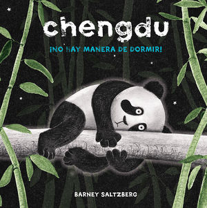 CHENGDU - �NO HAY MANERA DE DORMIR!