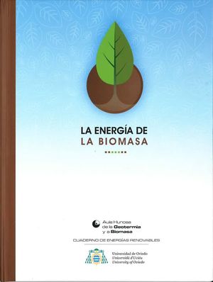 LA ENERG�A DE LA BIOMASA