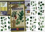 ARBOLES: INTRODUCCI�N A LAS ESPECIES IB�RICAS