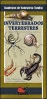 INVERTEBRADOS TERRESTRES