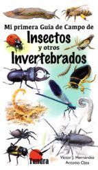 MI PRIMERA GUIA DE CAMPO DE INSECTOS Y OTROS INVERTEBRADOS