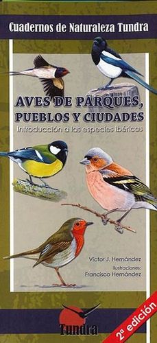 13.AVES DE PARQUES, PUEBLOS Y CIUDADES