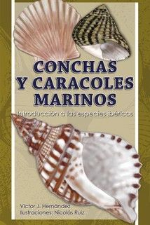 CUADERNOS DE NATURALEZA,18 CONCHAS Y CARACOLES MARINOS