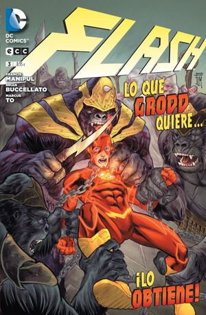 FLASH NM. 03 LO QUE GRODD QUIERE...