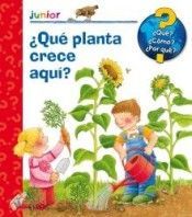 QU PLANTA CRECE AQU?