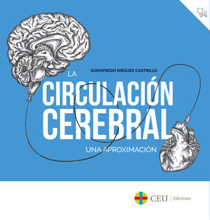 LA CIRCULACIN CEREBRAL. UNA APROXIMACIN