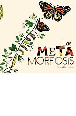 LAS METAMORFOSIS