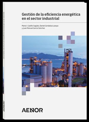 GESTIN DE LA EFICIENCIA ENERGTICA EN EL SECTOR INDUSTRIAL