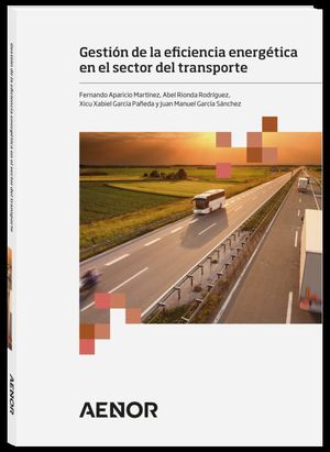 GESTIN DE LA EFICIENCIA ENERGTICA EN EL SECTOR DEL TRANSPORTE