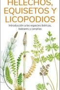 HELECHOS EQUISETOS Y LICOPODIOS