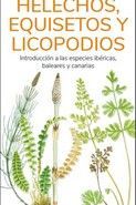 HELECHOS EQUISETOS Y LICOPODIOS