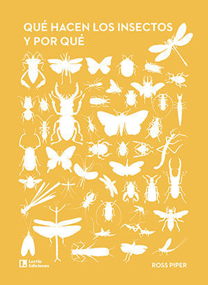 QUE HACEN LOS INSECTOS Y POR QU