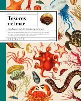 TESOROS DEL MAR. CELEBRACION DE LA BELLEZA SUMERGIDA