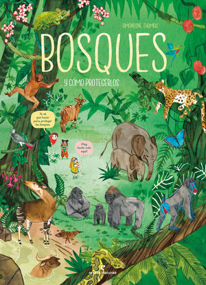 BOSQUES... Y COMO PROTEGERLOS