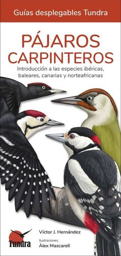 PAJAROS CARPINTEROS