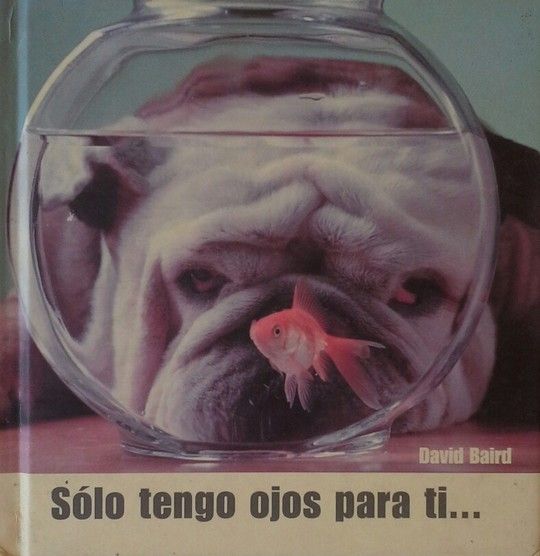 SOLO TENGO OJOS PARA TI...