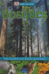 ABRE LOS OJOS. BOSQUES