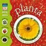 MIRA, MIRA: PLANTA