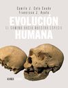 EVOLUCIN HUMANA