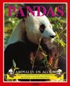 PANDAS. ANIMALES EN ACCION