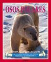 OSOS POLARES. ANIMALES EN ACCION
