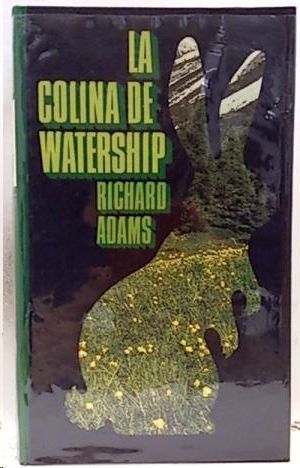 LA COLINA DE WATERSHIP