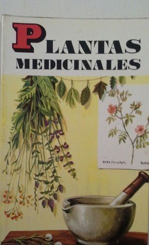 PLANTAS MEDICINALES