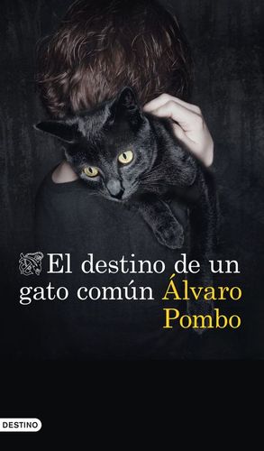 EL DESTINO DE UN GATO COMN