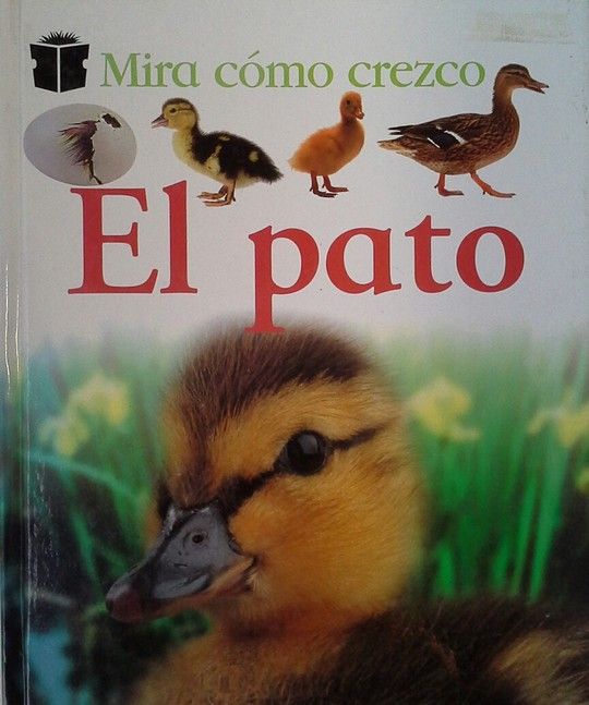 EL PATO