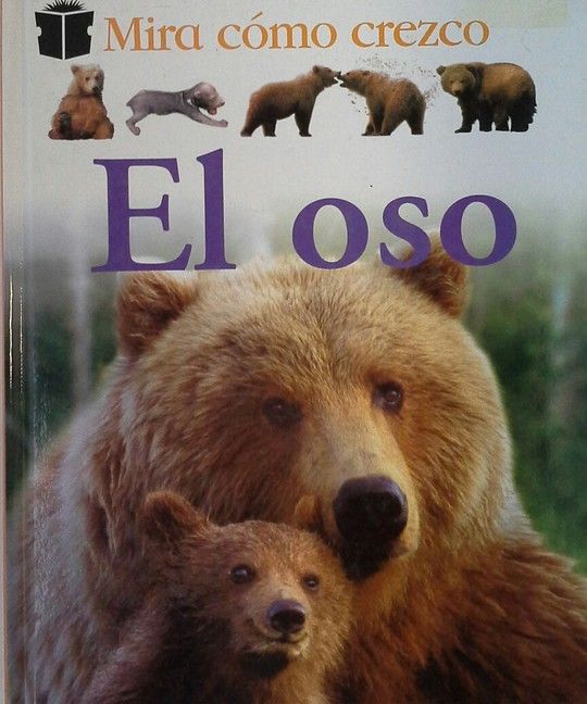 EL OSO