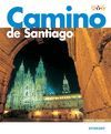 CAMINO DE SANTIAGO MONUMENTAL Y TURSTICA