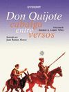 RASCACIELOS. DON QUIJOTE CABALGA ENTRE VERSOS