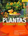 PLANTAS DE TERRAZA Y BALCN