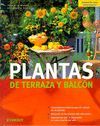 PLANTAS DE TERRAZA Y BALC�N