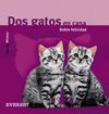 DOS GATOS EN CASA. DOBLE FELICIDAD