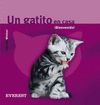 UN GATITO EN CASA. �BIENVENIDO!