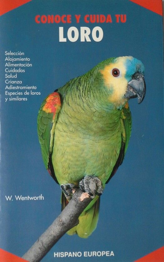 CONOCE Y CUIDA TU LORO