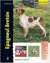 EPAGNEUL BRETON