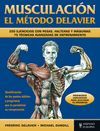 MUSCULACI�N. EL M�TODO DELAVIER