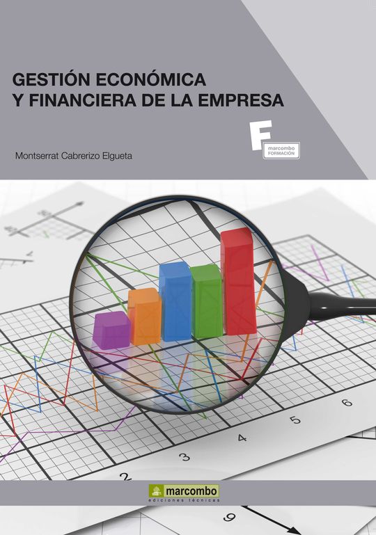 *GESTIN ECONMICA Y FINANCIERA DE LA EMPRESA