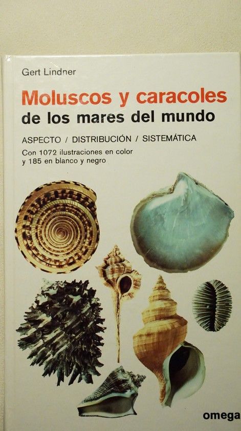 *MOLUSCOS Y CARACOLES DE LOS MARES DEL MUNDO