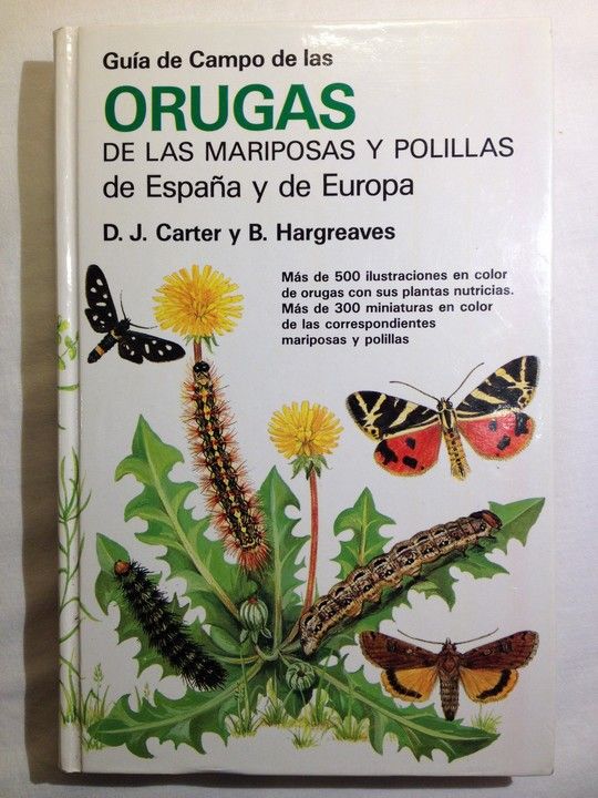 GUIA CAMPO ORUGAS DE MARIPOSAS Y POLILL.