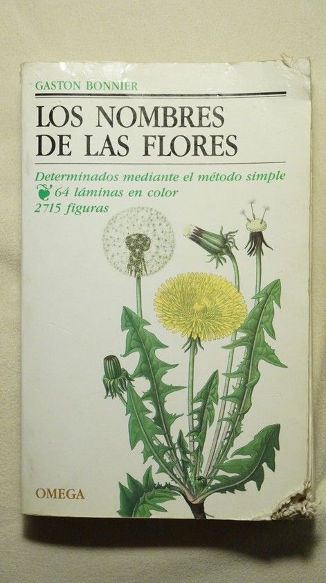 LOS NOMBRES DE LAS FLORES