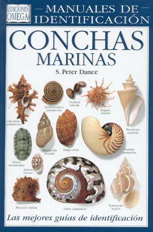 CONCHAS MARINAS.MANUAL DE IDENTIFICACION