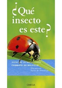 QUE INSECTO ES ESTE?