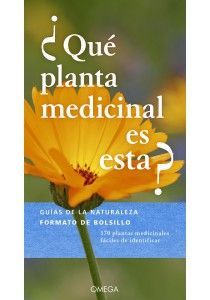 �QUE PLANTA MEDICINAL ES ESTA?